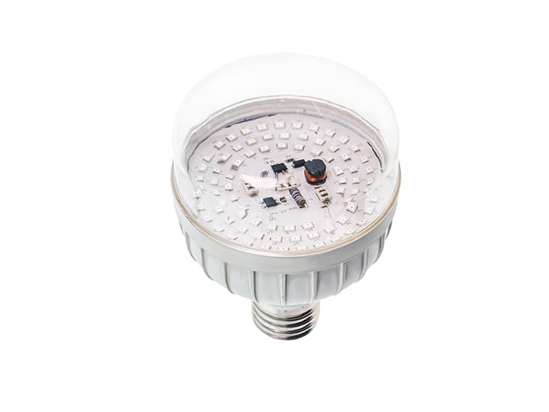LED Grow Light for Grapes