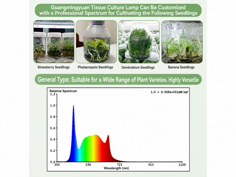Custom spectrum tissue culture light