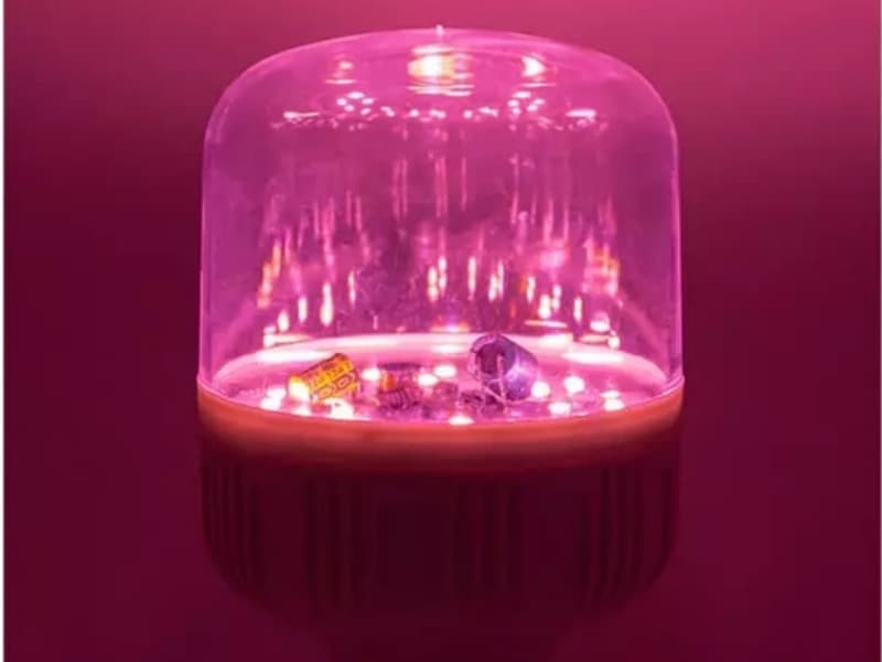 Đèn LED trồng cây có thực sự giúp cây phát triển tốt?